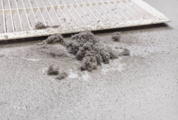Best Affordable Duct Cleaning Services  in Dousman, WI