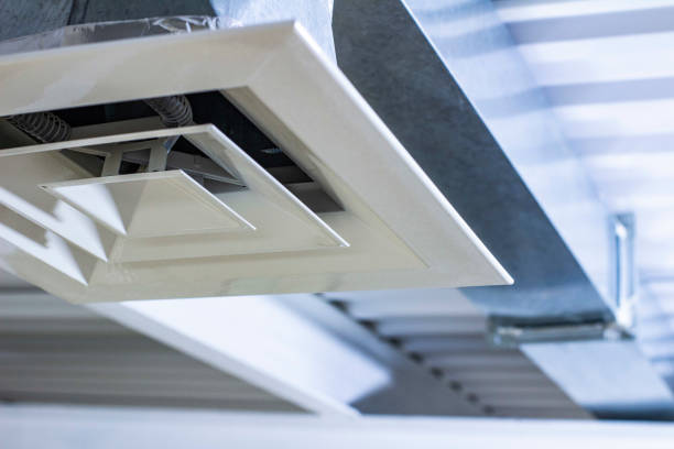 Best Air Vent Cleaning Services  in Dousman, WI
