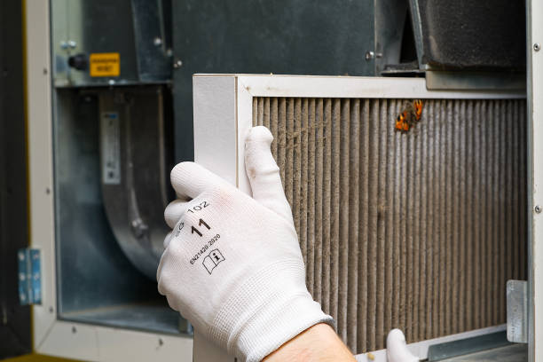 Best Air Duct Cleaning Near Me  in Dousman, WI