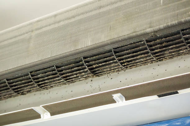 Best Air Duct Cleaning Near Me  in Dousman, WI